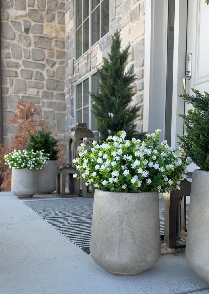 Stylish concrete planters