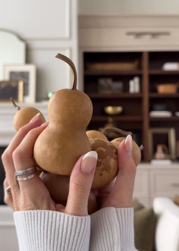 Hands holding mini dried gourds in front of living room shelves decorated with cozy accents.